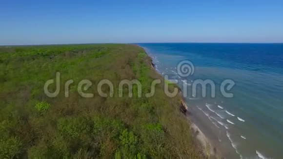 将海岸线与海洋和森林背景分开的自然风景视频的预览图