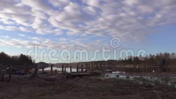云飞过湖和老木墩视频的预览图