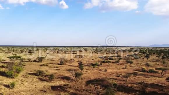 穿越非洲草原的野生动物园之旅传统非洲农村部落村庄的空中拍摄南方旱季视频的预览图