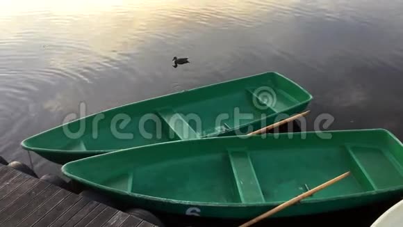 日落时分船和鸭子视频的预览图