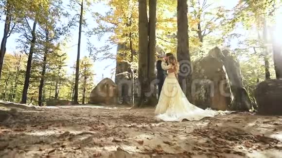 一对漂亮的已婚夫妇走在公园里牵着他们的手视频的预览图