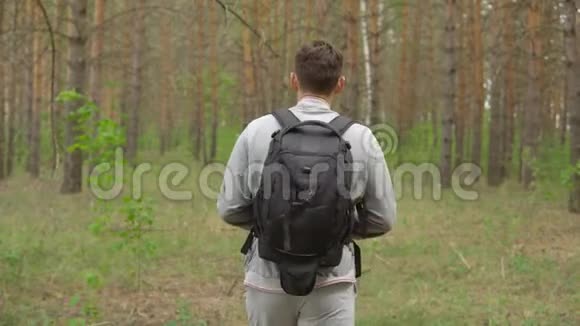 带着背包的年轻人穿过森林从后面看视频的预览图