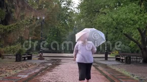 胖姜女的剪影在雨中漫步在公园里撑着伞天气观念后景视频的预览图