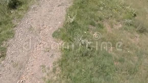 俄罗斯格鲁吉亚边境附近达里亚里峡谷的空中录像道路穿过高加索山脉令人印象深刻的观点视频的预览图