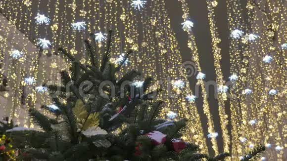 圣诞杉木特写从底部看在背景中节日的照明是不集中的视频的预览图