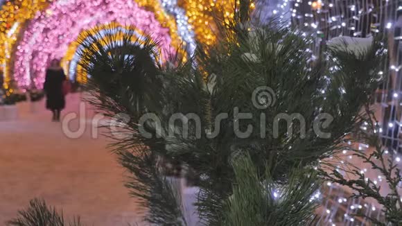 圣诞冷杉特写在不引人注意的背景下人们在装饰节日的城市里走来走去视频的预览图