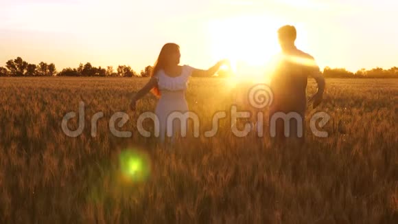 快乐的孩子和爸爸妈妈走在田野里带着小麦在金色的夕阳下笑着视频的预览图