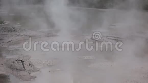 新西兰罗托鲁瓦沸腾泥浆池视频的预览图