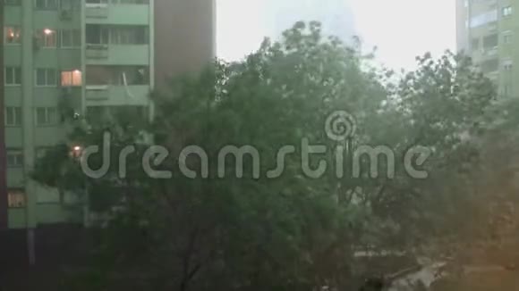 暴风雨和大雨4大雨和非常强烈的风暴树木在向左和向右移动视频的预览图