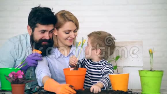 这家人在花盆里种花一起做家庭园艺在阳光明媚的日子里快乐的家庭园艺很好的时间视频的预览图