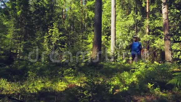 一个背着背包的游客在森林里漫步视频的预览图