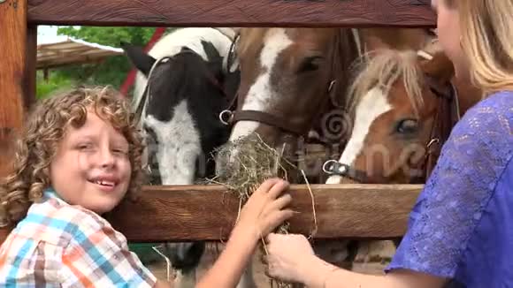 在动物农场的男孩和女孩视频的预览图