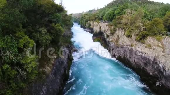 新西兰北岛胡卡瀑布和土著森林视频的预览图
