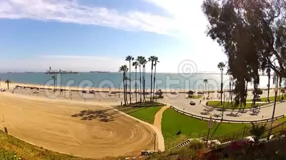 太平洋海滩有棕榈树视频的预览图