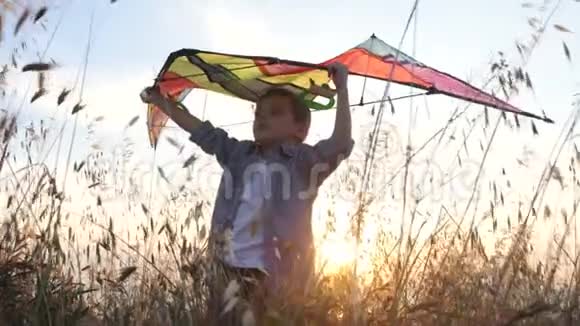 美丽的小男孩站在草地上头上放着一只玩具风筝代表着滑翔伞上的苍蝇概念梦视频的预览图