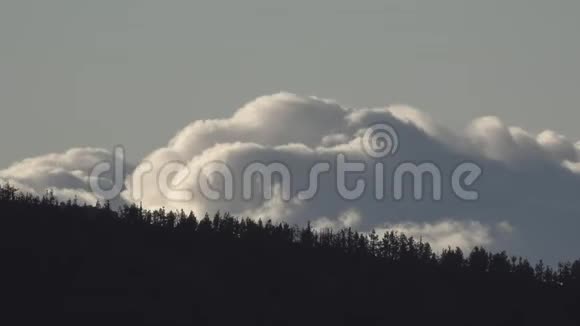 黄昏时分松树山后面从右到左的快速云视频的预览图