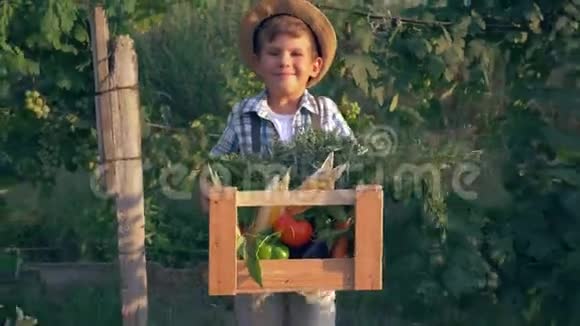 农村孩子在花园里的树木背景上拿着装有新鲜蔬菜的木箱视频的预览图