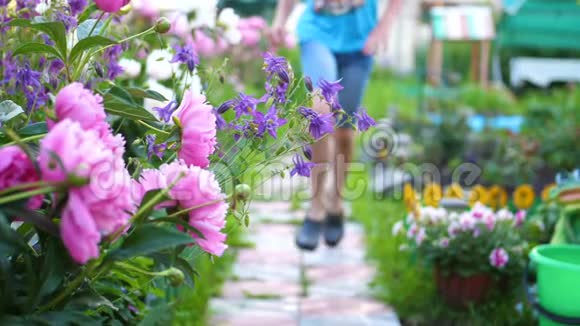 孩子们沿着小路沿着花跑两个男孩在花园里玩快乐的童年视频的预览图