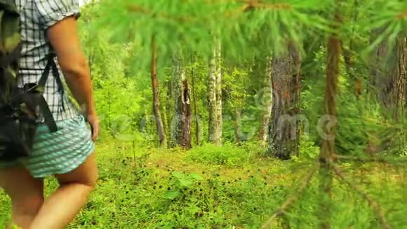 一个背着背包的人上升到森林中央的一座小山视频的预览图