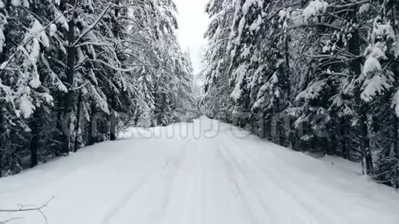 摄像机在寒冷的冬天坐汽车在一条冬天的森林道路上飞行从引擎盖上看到的视频的预览图