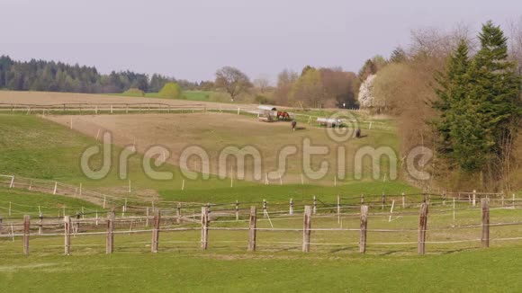春日在遥远的农场围场放牧棕马视频的预览图