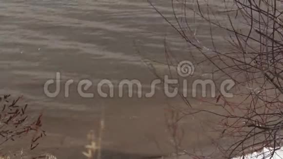冬天在湖边视频的预览图