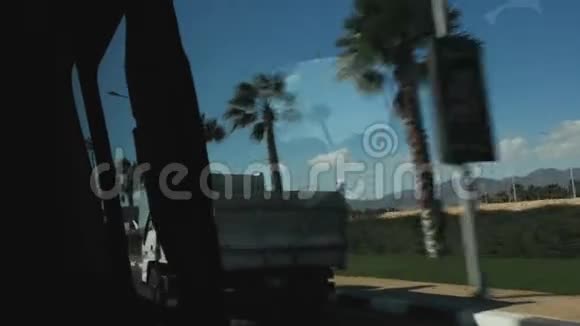 从一辆移动汽车的窗户上看到美丽的景色棕榈树视频的预览图