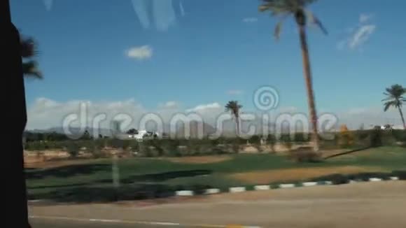从一辆移动汽车的窗户上看到美丽的景色棕榈树视频的预览图