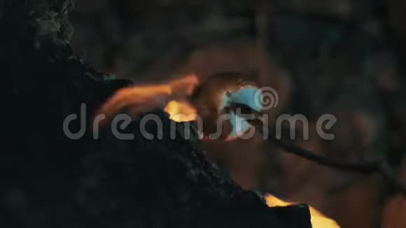 在Chimera火焰上煮的食物在山洞里烧火的游客烹饪食物视频的预览图