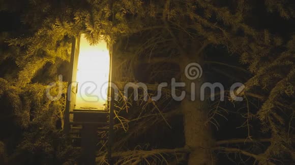 冬季装饰用轻灯笼挂在杉树松树背景上夜晚的雪花圣诞背景视频的预览图