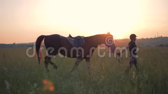 女骑手在日落的背景下骑马视频的预览图
