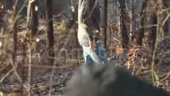 一个人手拿斧子走在森林里有胡子的年轻人在户外拿着斧头视频的预览图