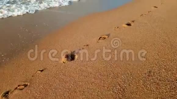 4k镜头在海滩潮湿沙滩上的脚印上方视频的预览图