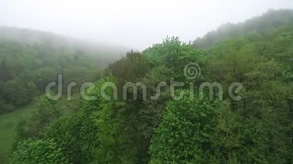 雾蒙蒙的早晨空中飞过树梢清晨的树林里绿林中弥漫着雾气视频的预览图