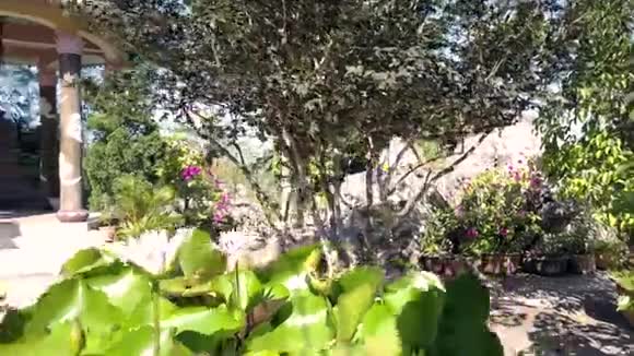 穿过鲜花和巨大的钟形大理石亭子视频的预览图