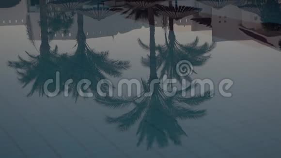 傍晚时分在水池中的棕榈树在缓慢运动中的反射视频的预览图