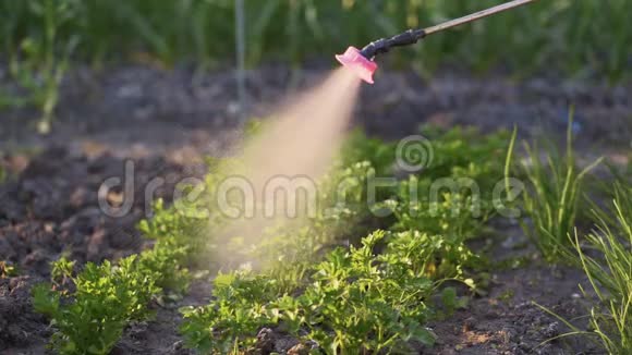 在花园里用喷水软管喷头关闭浇水植物动作缓慢视频的预览图