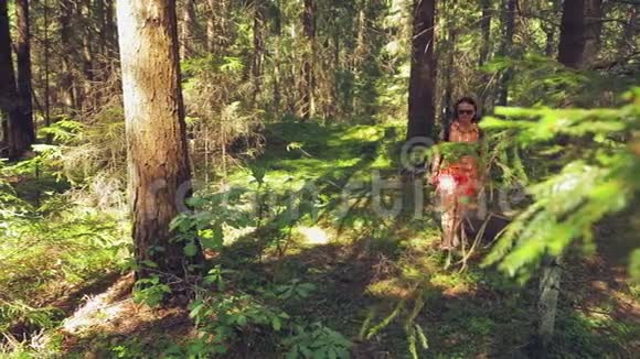 一个女徒步旅行者走过森林用手推着灌木丛视频的预览图