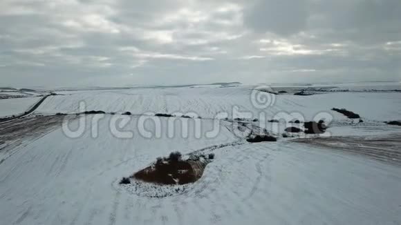 冬季景观鸟瞰雪覆盖的田野视频的预览图