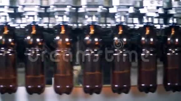 专用机器将啤酒倒入瓶子中关闭视频的预览图