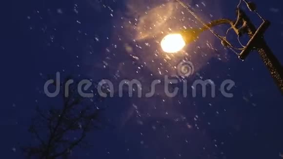 灯笼照亮夜幕下飘落的雪花视频的预览图