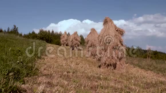 山村里的传统干草堆草地上的干草堆海菲尔德在附近一片小田野上的干草堆视频的预览图