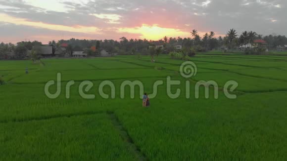 在一片奇妙的稻田里迎接日落的幸福家庭游客的空中拍摄旅游亚洲概念旅费视频的预览图