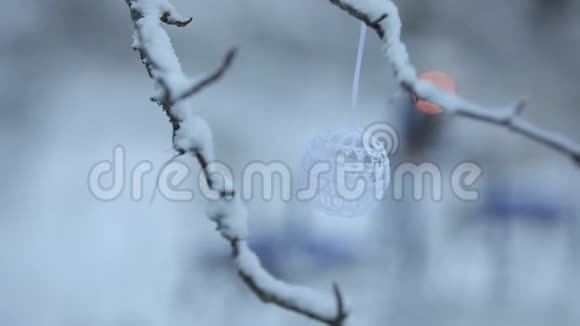 冬天的白雪和树枝上的玩具视频的预览图