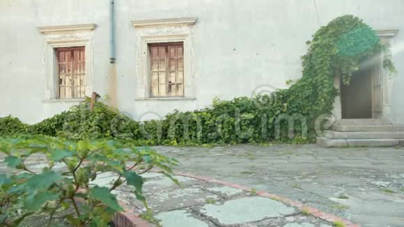 院子里有破旧的墙壁上面有木制的窗户生长着巨大的绿色布什视频的预览图