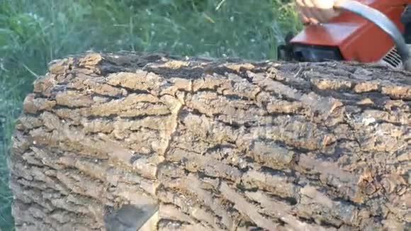 油锯切树干近视景视频的预览图