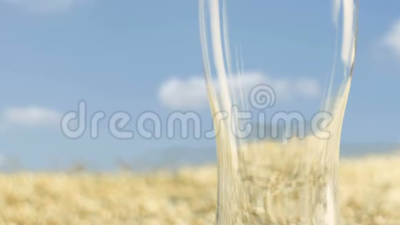 大麦麦芽在一个玻璃木杯酒杯用于制作工艺啤酒或威士忌对抗金田和谷物视频的预览图