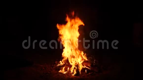 着火了篝火晚会关闭黑色背景下燃烧的火焰慢动作视频的预览图