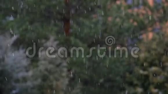 城市公园雨雪高清镜头视频的预览图