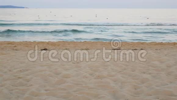 海滩沙背景上的波浪视频的预览图